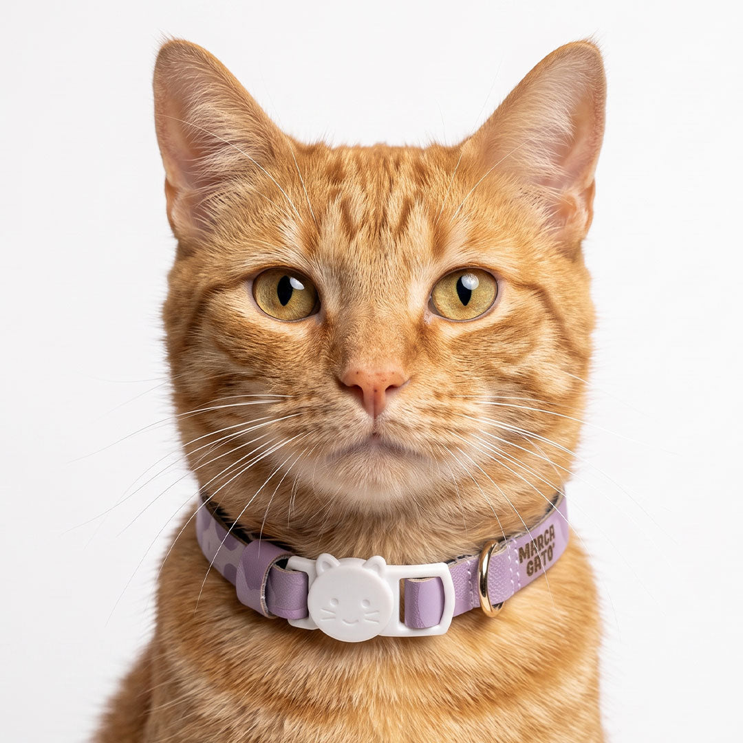 Collar Uva para gatos tallas ajustables XS S cuero vegano broche seguridad