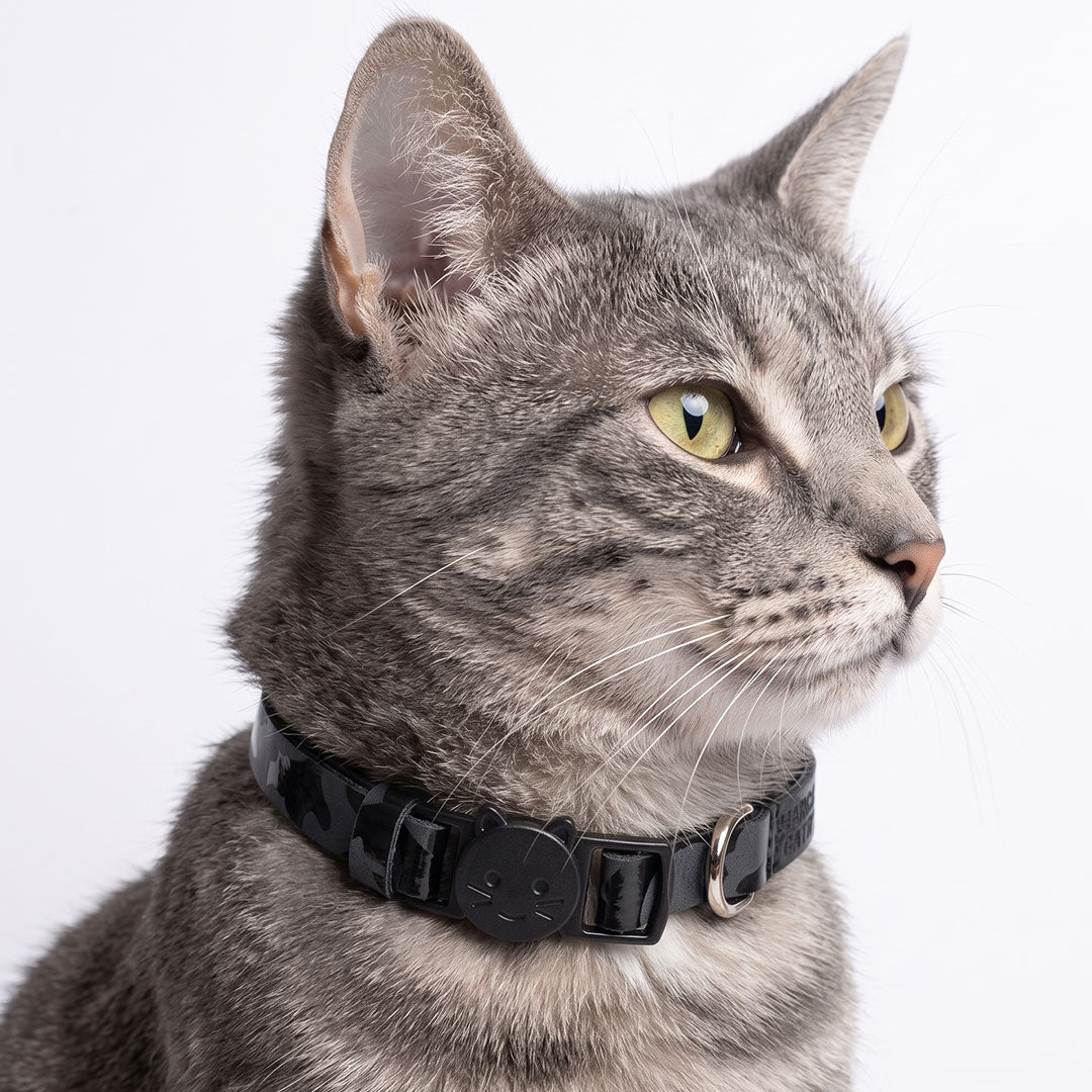 Collar para gatos negro seguridad cuero vegano regulable broche liberación tallas XS S