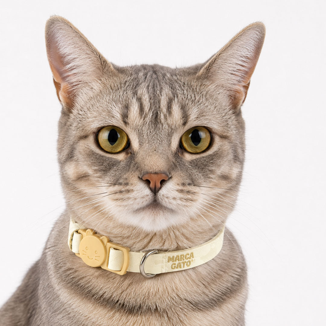 Collar marfil para gatos cuero vegano premium regulable broche seguridad tallas ajustables