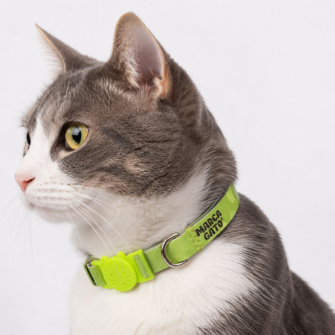 Collar para gatos cuero vegano premium regulable broche seguridad tallas ajustables Jade