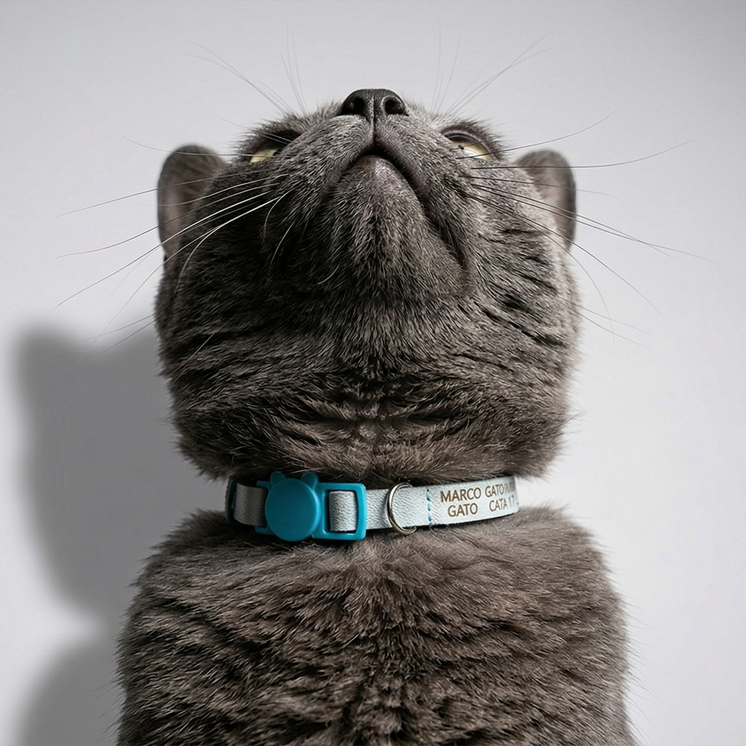 collar de hamburguesa Collar gatos ajustable tela suave broche liberación automática no atrapa pelos
