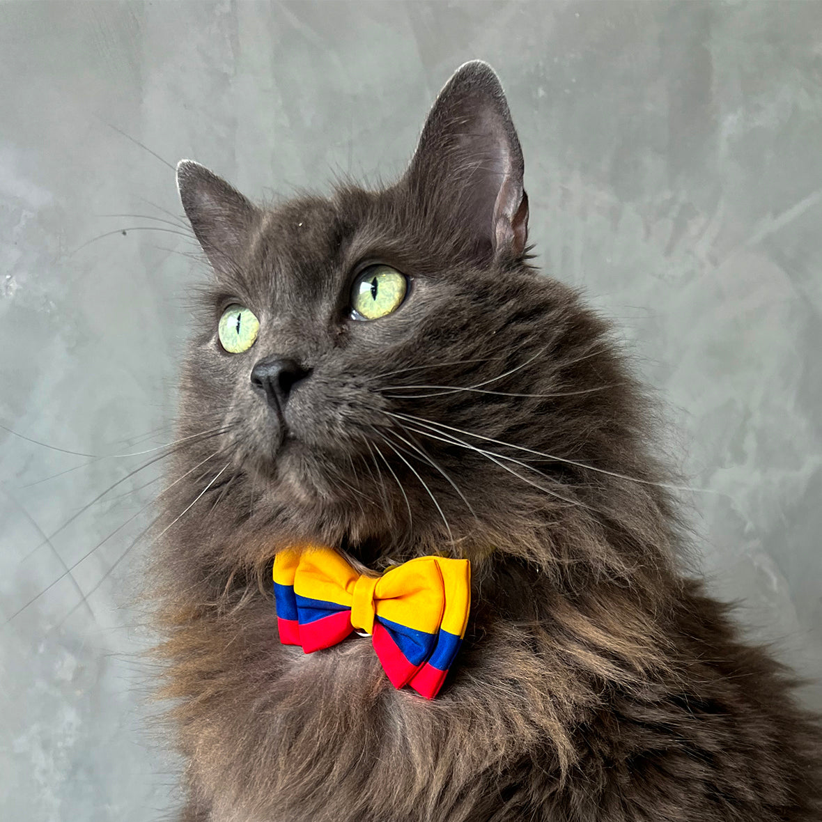  Corbatín para gatos bandera de Colombia  broche seguridad ajustable mascota