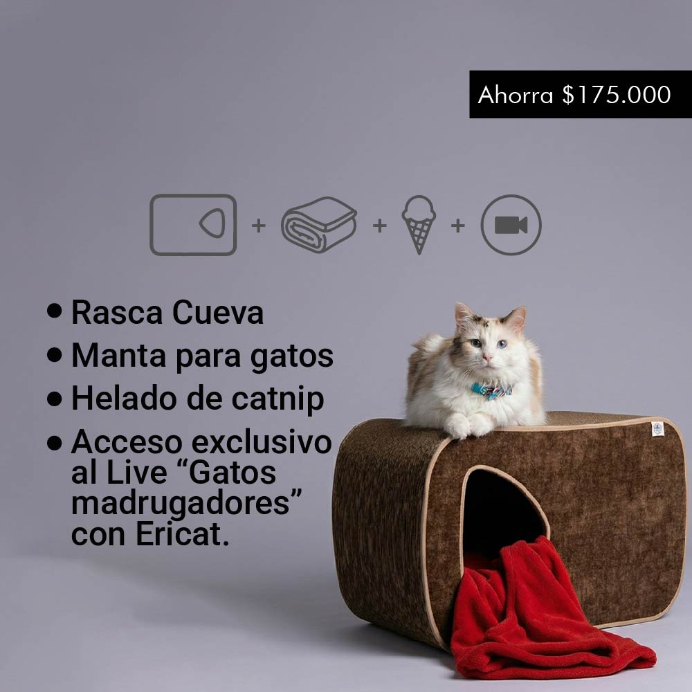 Combo Gato Madrugador