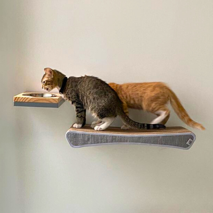 Rascador pared.