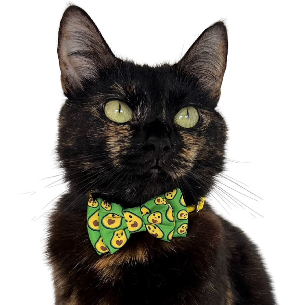 Corabtin para gatos.