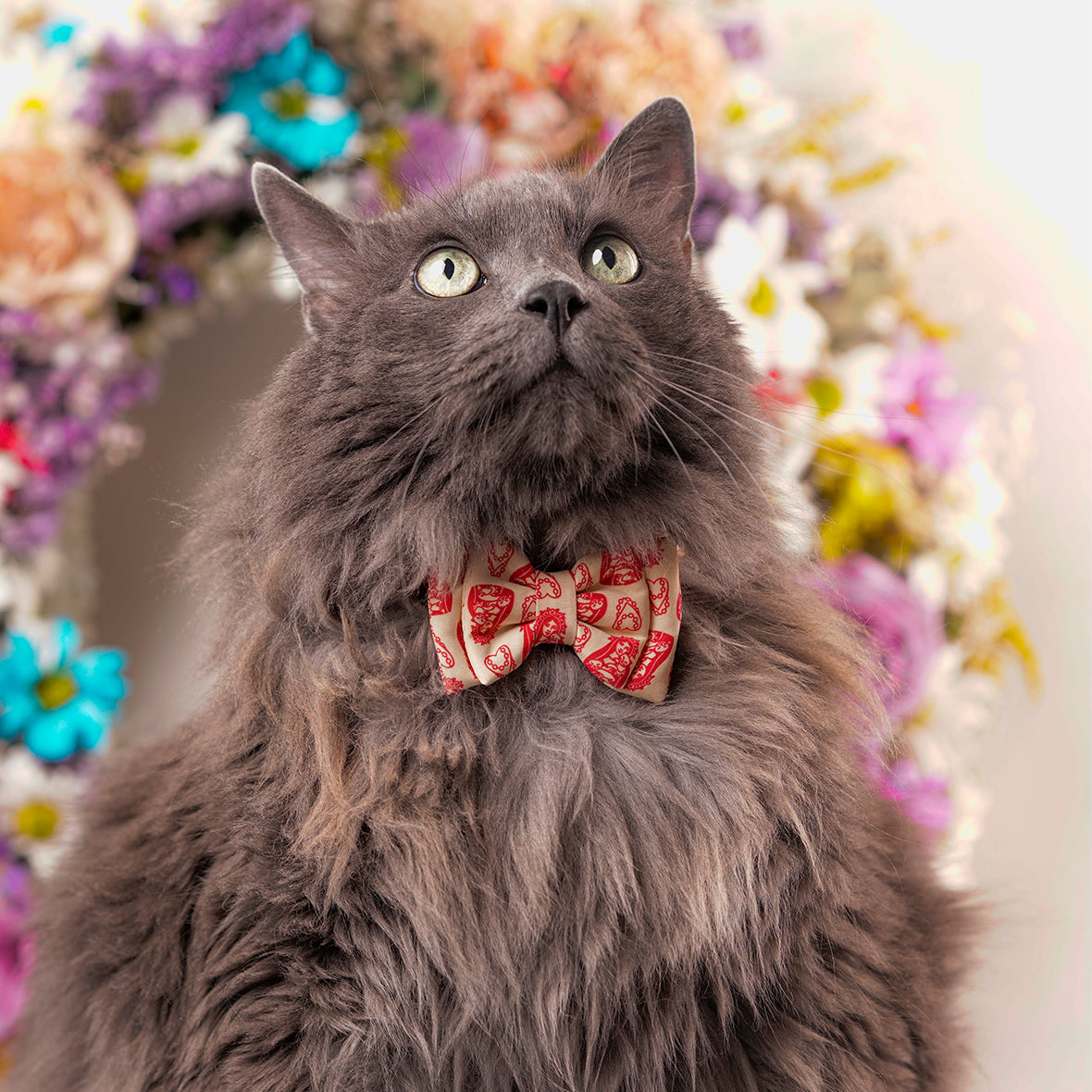 Corbatín para gatos virgen María felina cats and roses religioso mascota