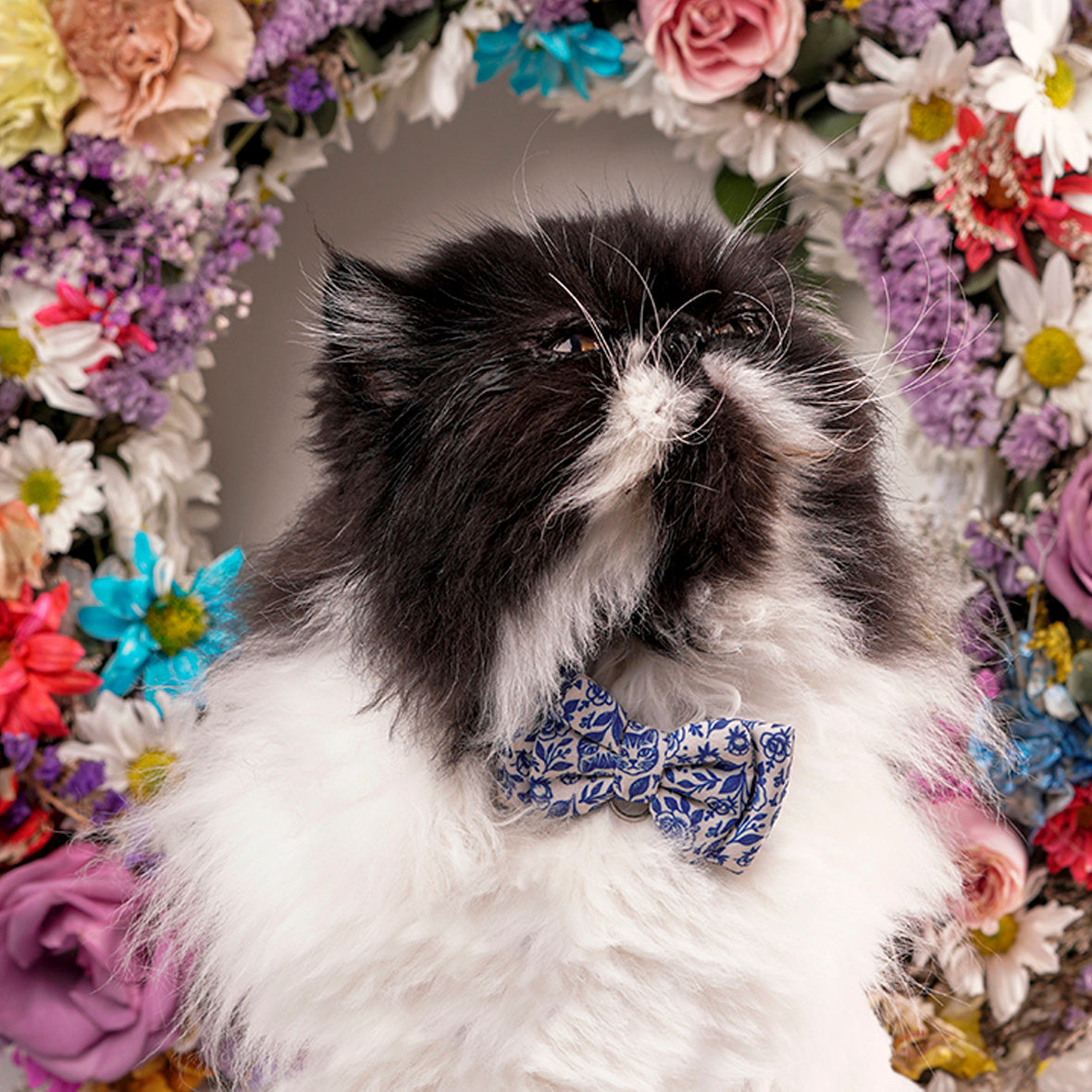 Corbatín para gatos azul con rosas delicadas cats and roses mascota elegante