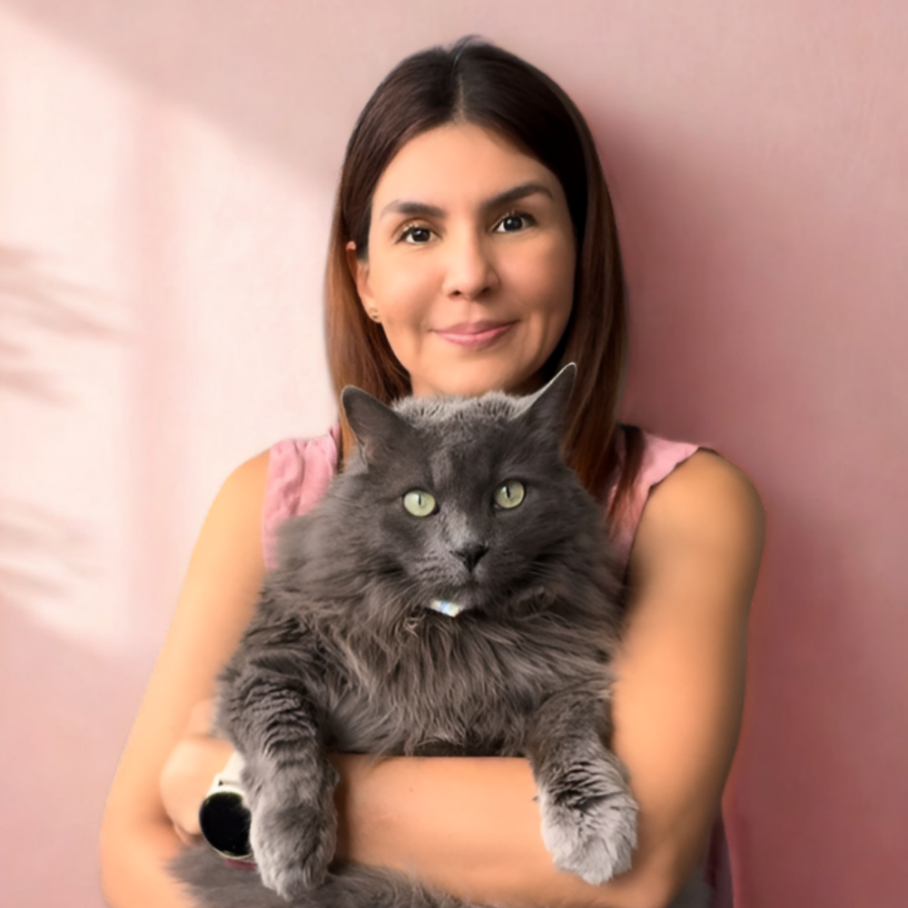 Ebook: ayudar a tu gato a superar el miedo a timbres, visitas, ruidos fuertes y pólvora