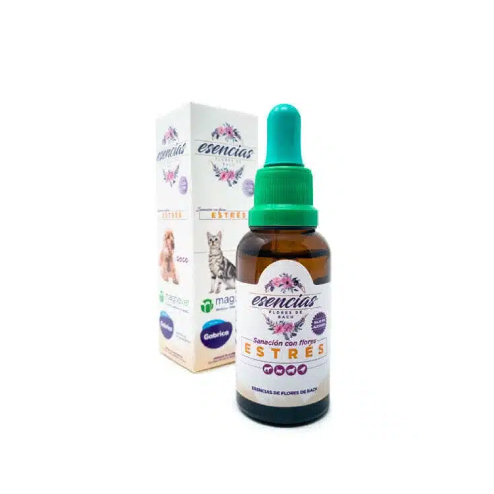 Gutas escensias florales de bach estres