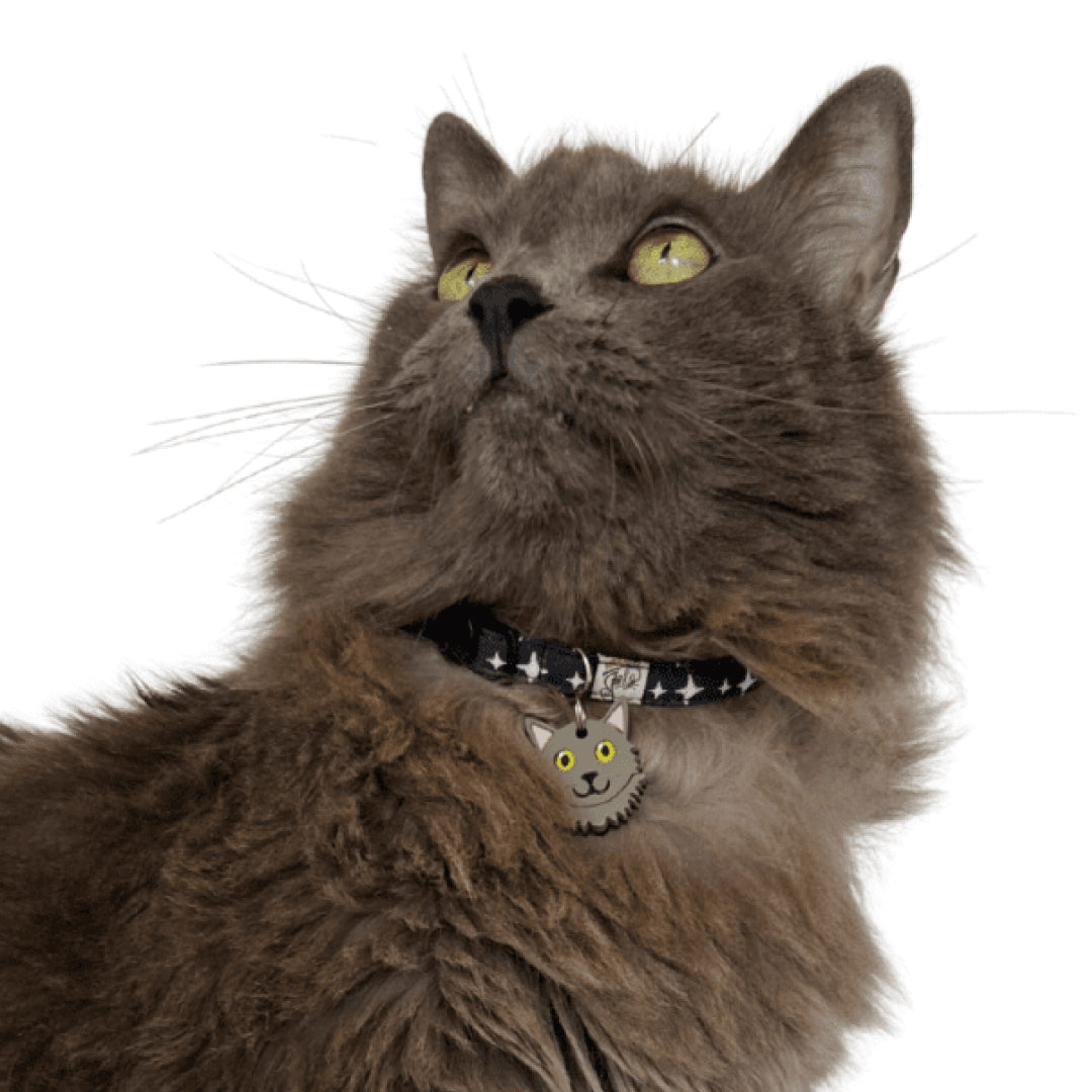 Collar textil para gatos