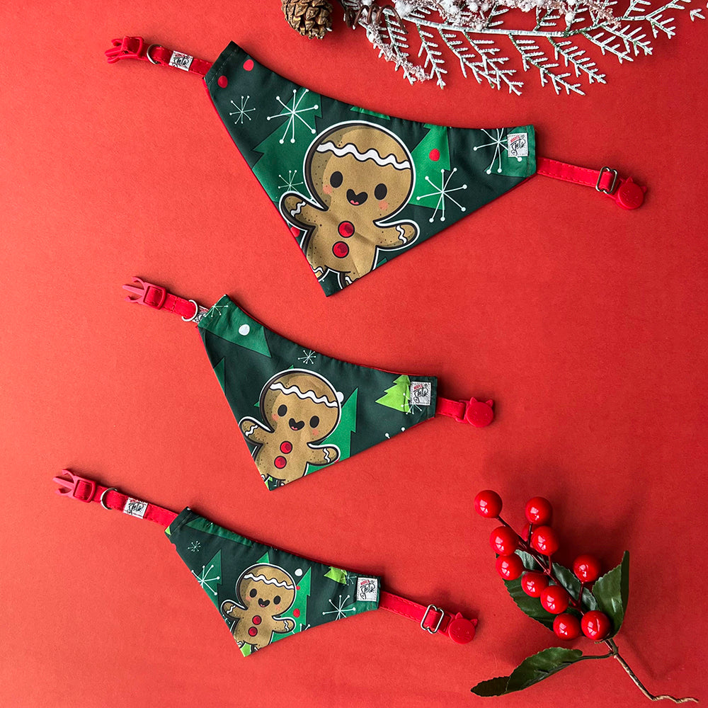 Pañoleta Galleta NaviCat