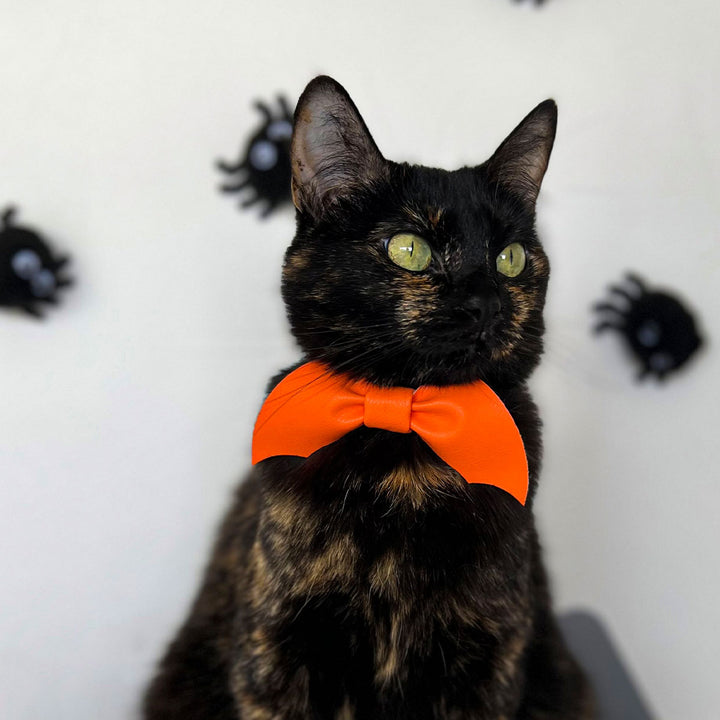 Corbatín para gato con broche de seguridad. accesorios de Halloween. Accesorios para gato