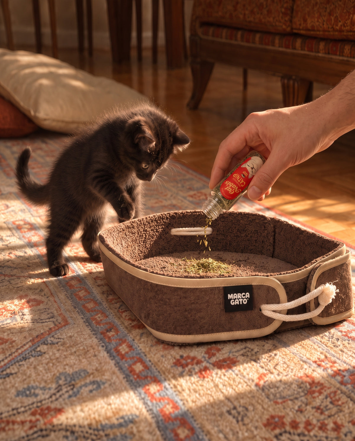 Catnip hierba para gatos 5 g
