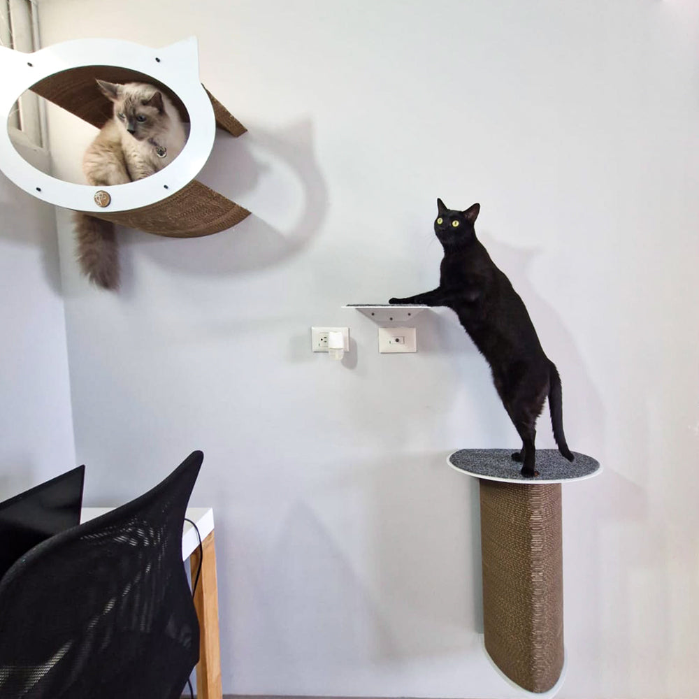 Gimnasio para gatos Michi