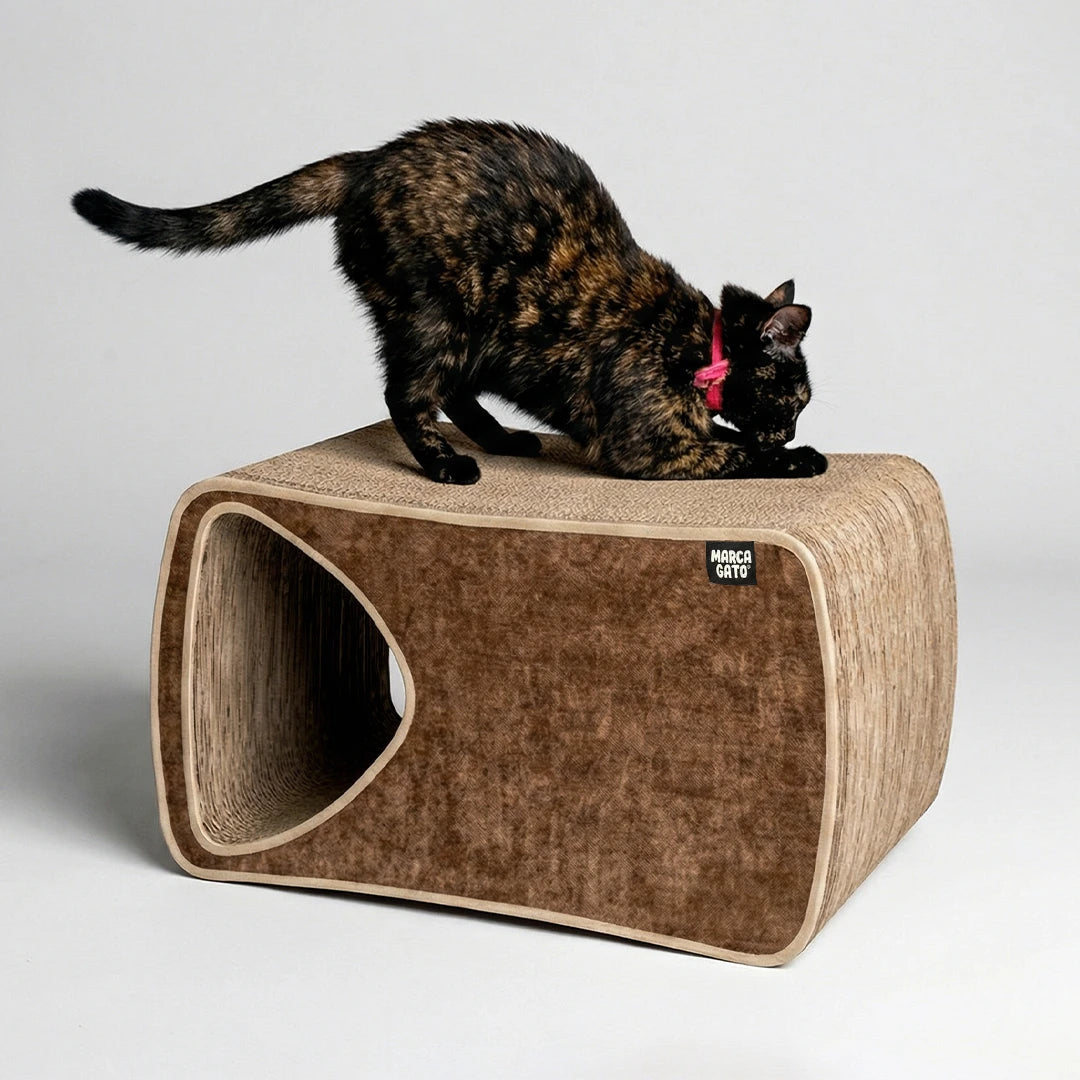 Gimnasios para gatos