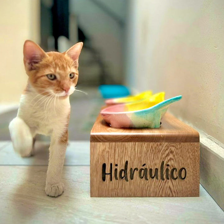 Personalizacion comedero 