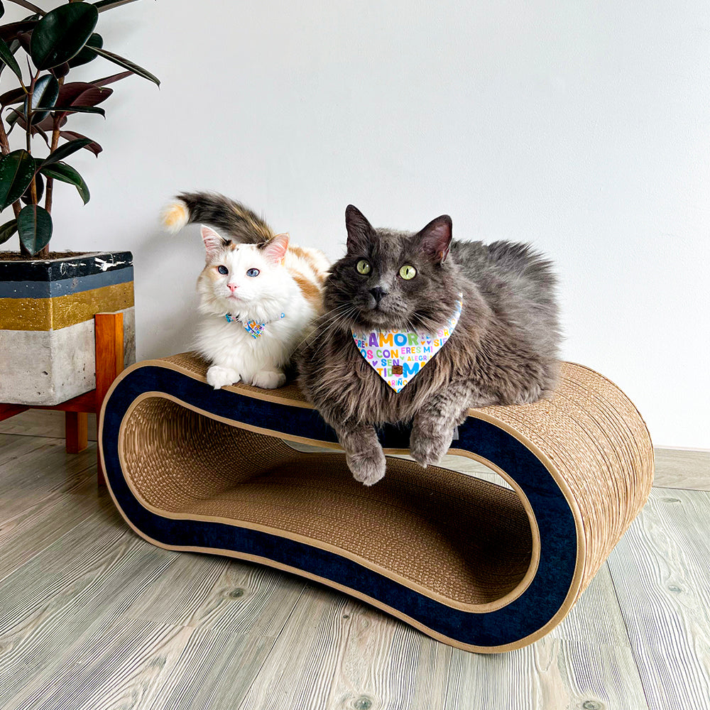 rascador horizontalde carton corrudago doble pared para gatos