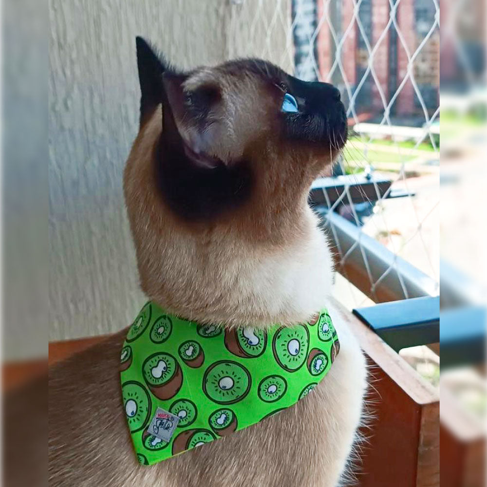 Pañoleta Kiwi
