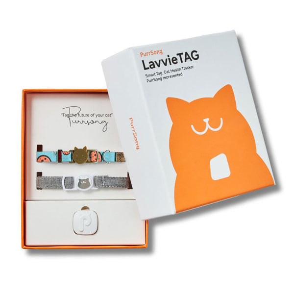 Lavvie TAG kit de iniciación: Tag + Cargador + Collar