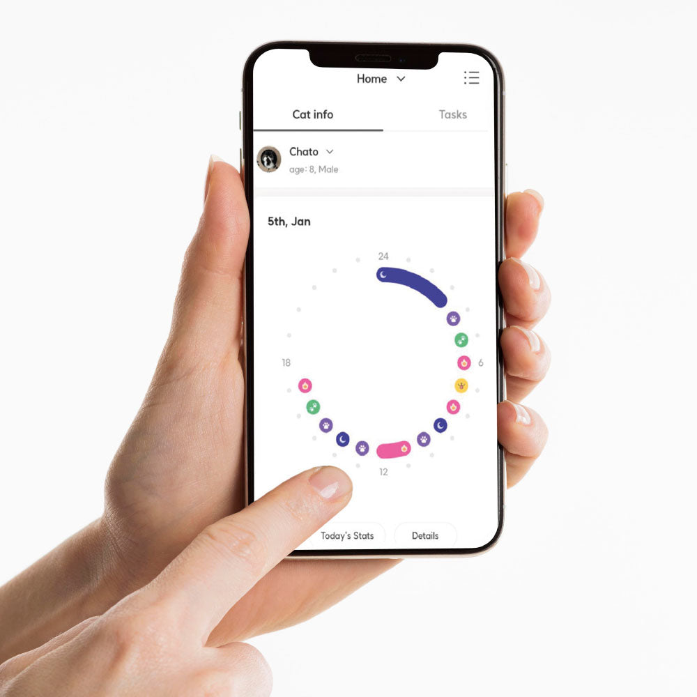 Lavvie TAG kit de iniciación: Tag + Cargador + Collar