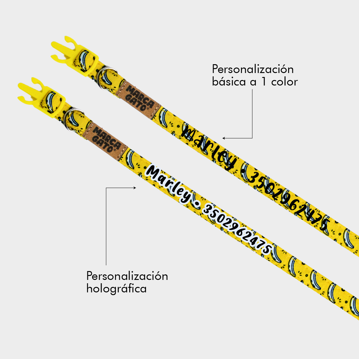 Collar para gatos personalizado