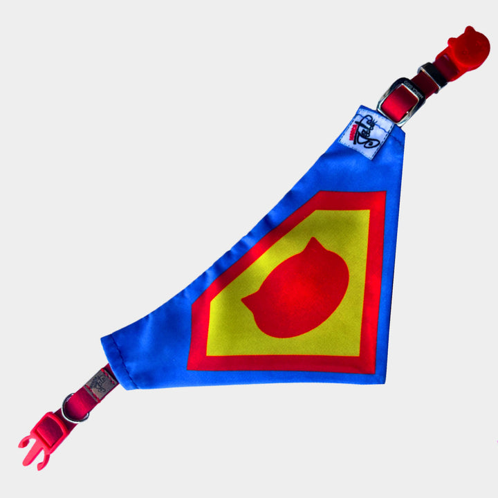 pañoleta para gatos azul, pañoleta con broche de seguridad para gatos