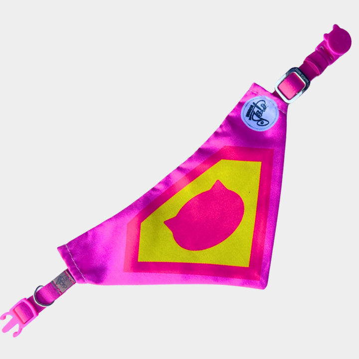 pañoleta para gatos