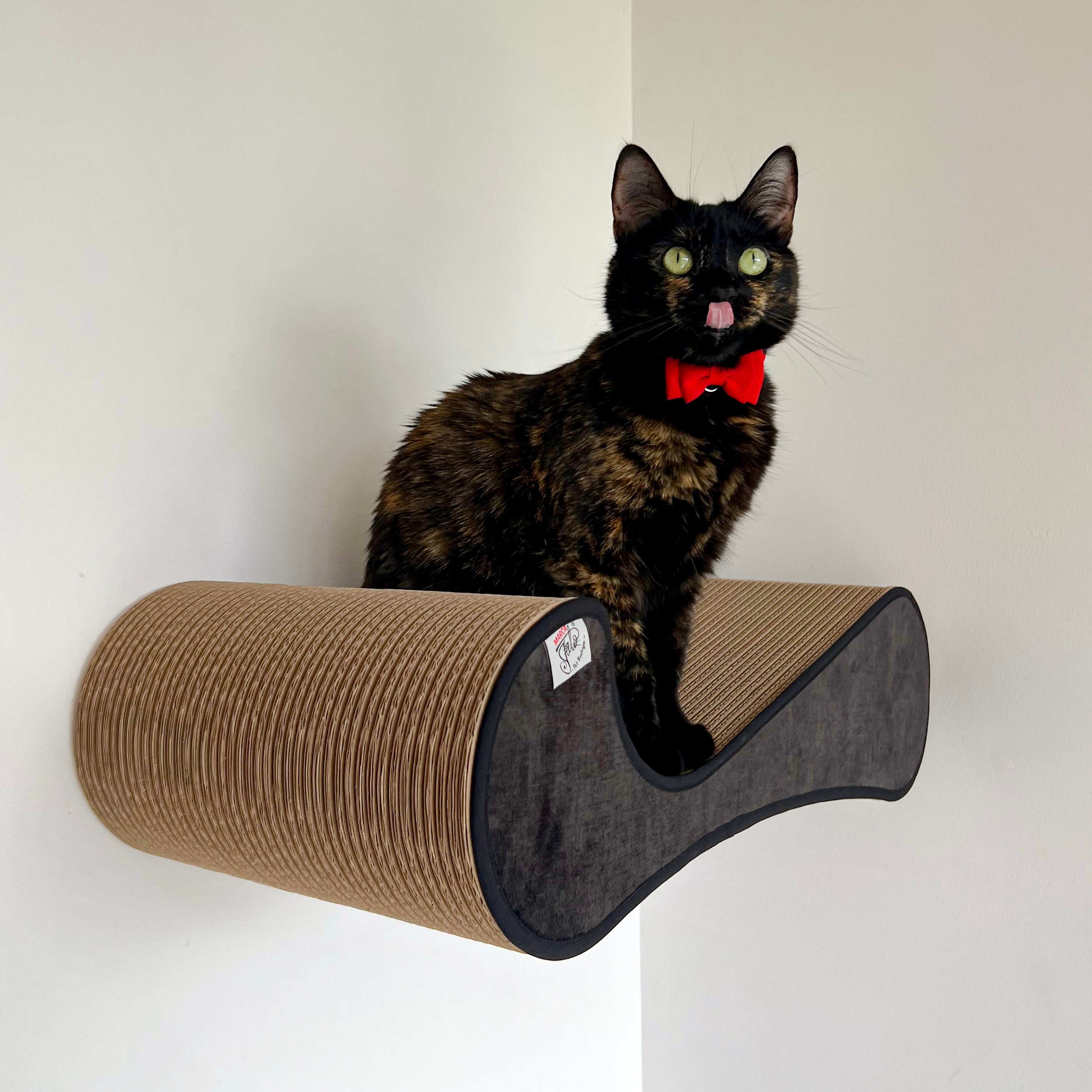 Gimnasio para gatos Tinto