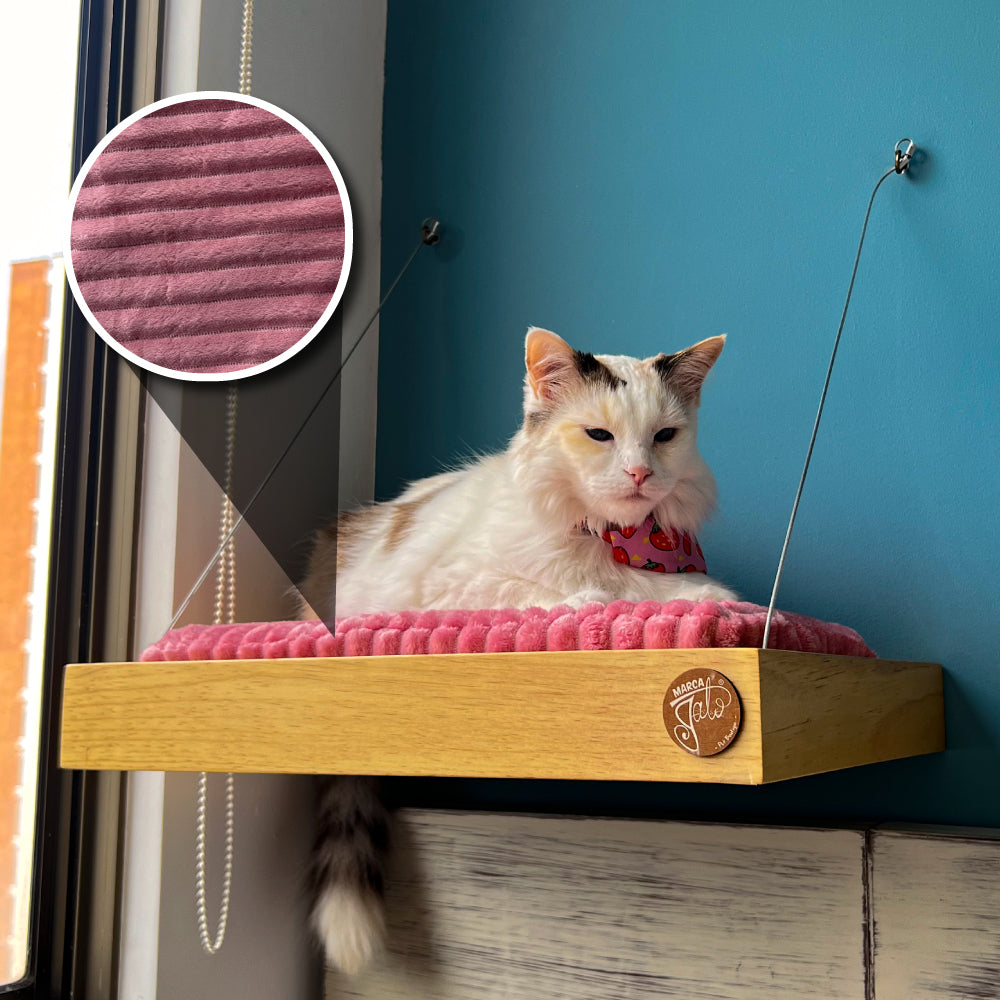 Cana colgante para gatos anclada a la pared 