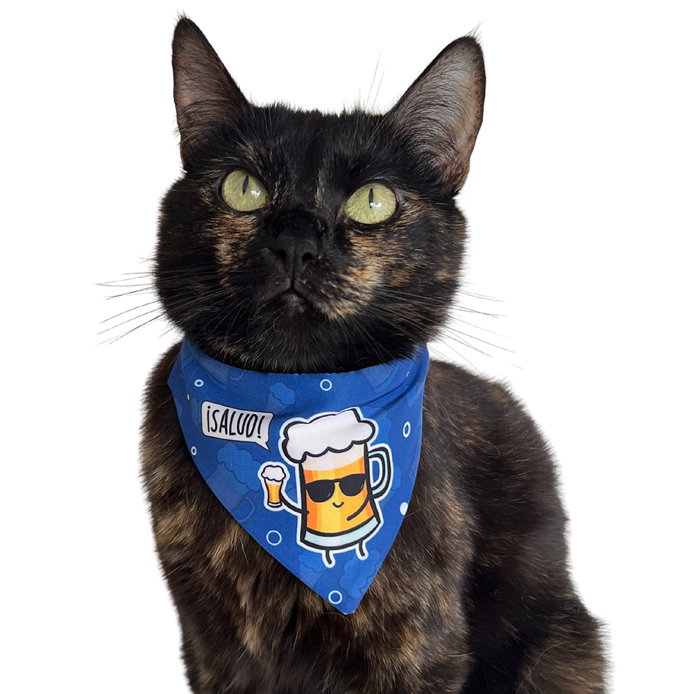 pañoleta para agatos