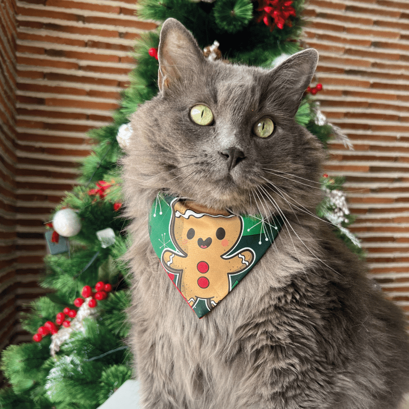 Pañoleta Galleta NaviCat