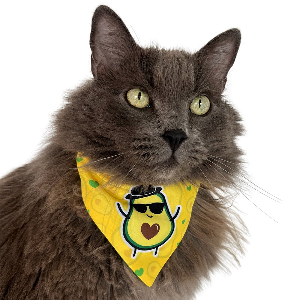 Pañoleta para gatos