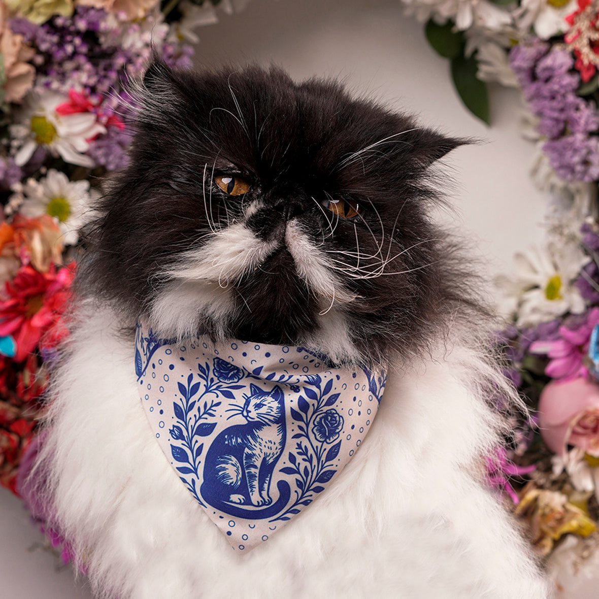 Pañoleta para gatos azul rey rosas elegante cats and roses mascota