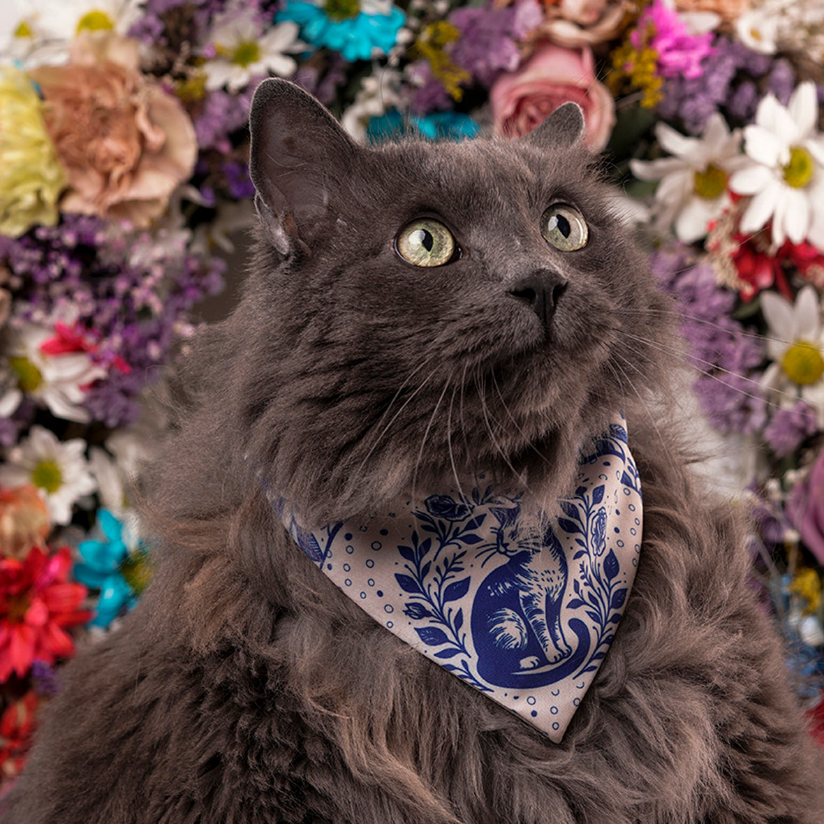 Pañoleta para gatos azul oscuro rosas elegante cats and roses mascota