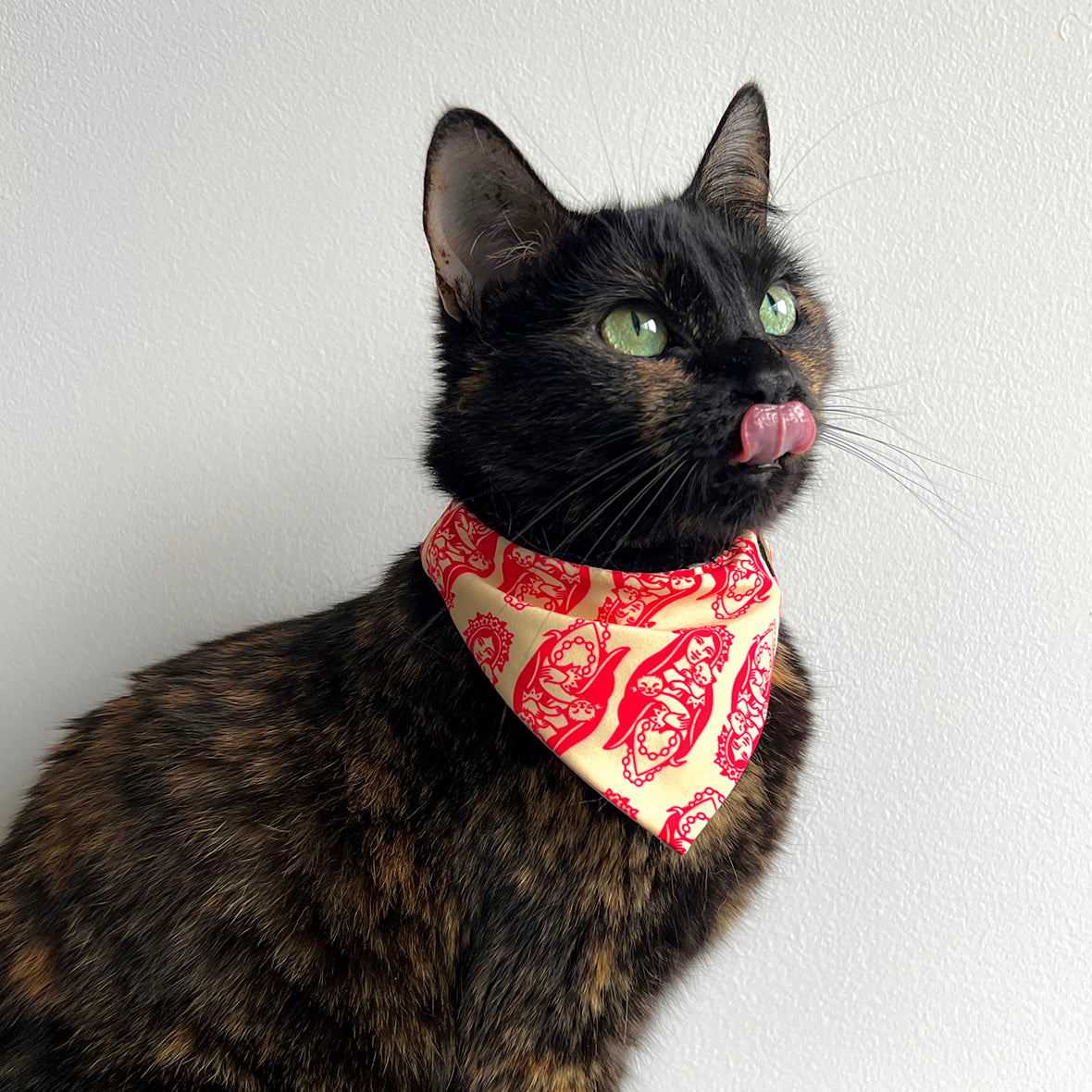 Pañoleta para gatos virgen bendita cats and roses accesorio

