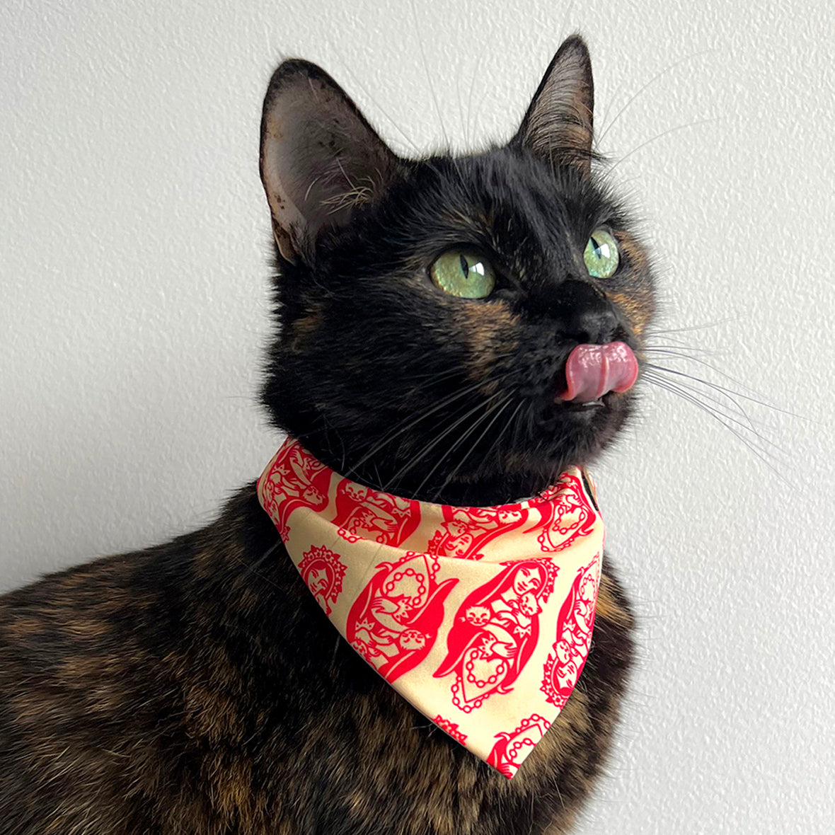 Combo Cats And Roses - Rascador + Corbatín + Pañoleta