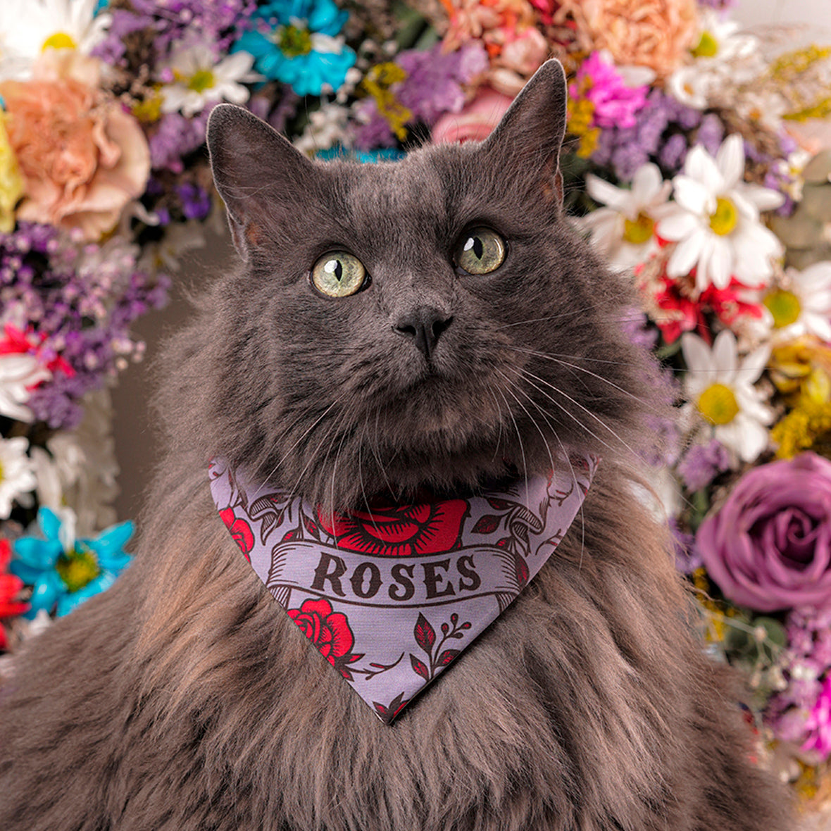 Pañoleta para gatos rosas rojas cats and roses accesorio