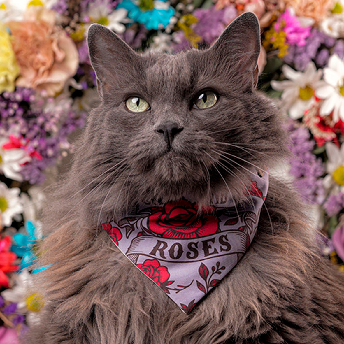 Pañoleta para gatos rosas vintage romántico cats and roses accesorio felino