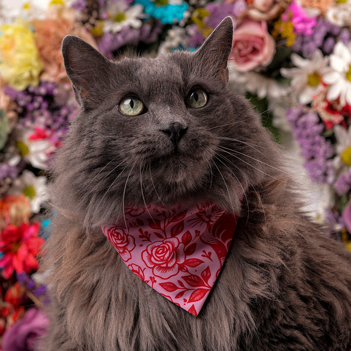 Corbatín para gatos rosas flores primavera cats and roses felino