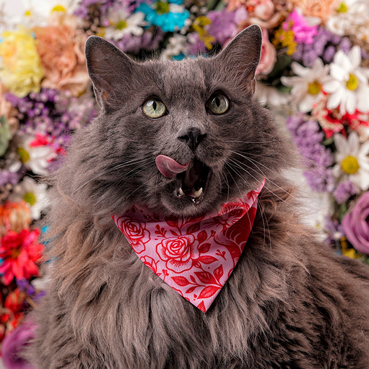 Pañoleta para gatos rosas vintage romántico cats and roses accesorio felino