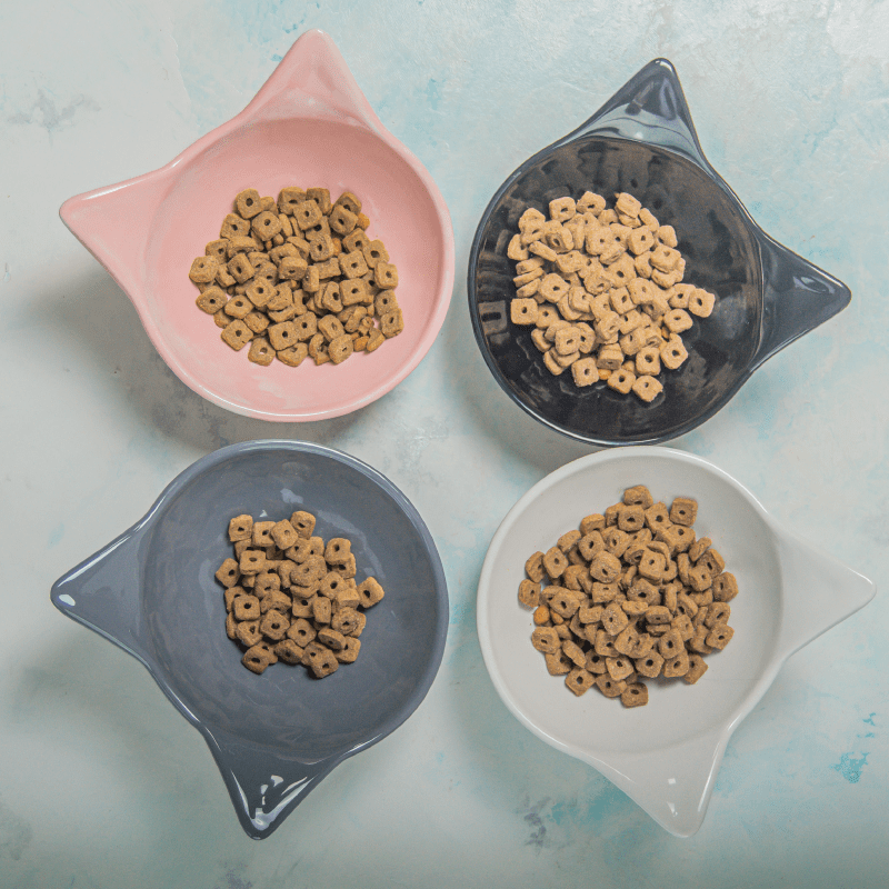 Platos en ceramica para gatos.