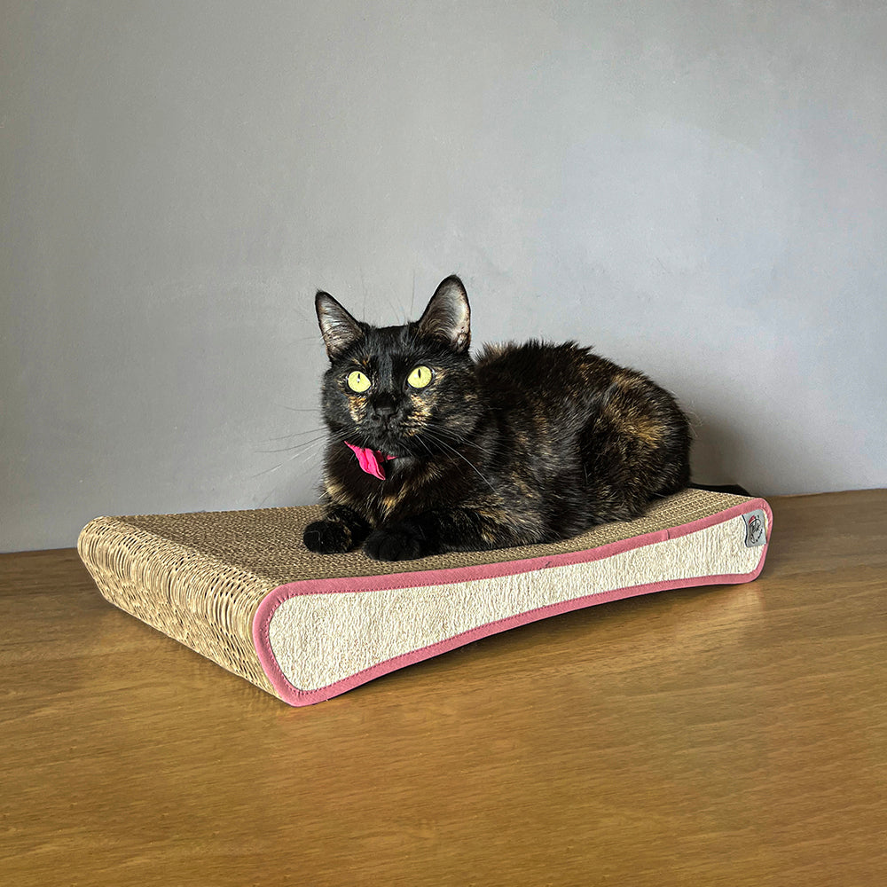 Rascador de carton corrugado doble pared Quesito para gato 