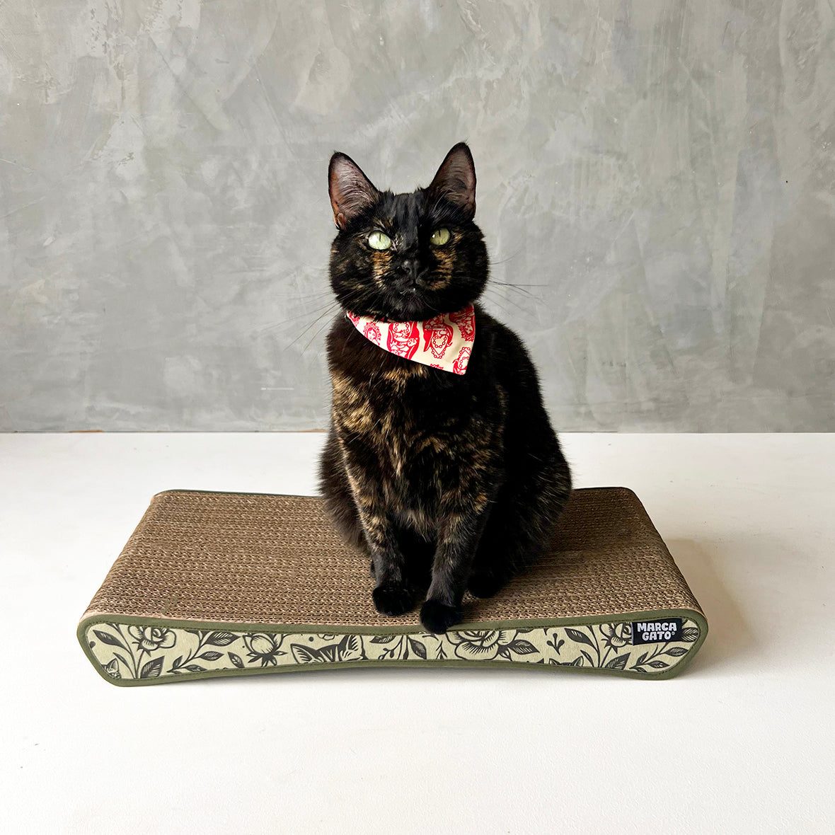 Rascador quesito Cartón corrugado doble pared de alta densidad ultra resistente