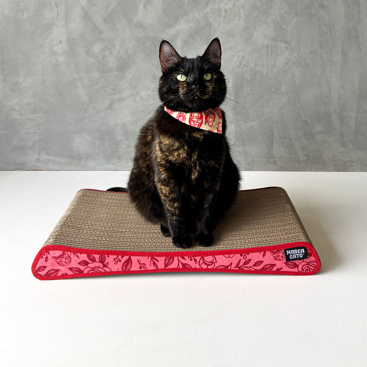 Rascador Quesito Cartón corrugado doble pared de alta densidad ultra resistente