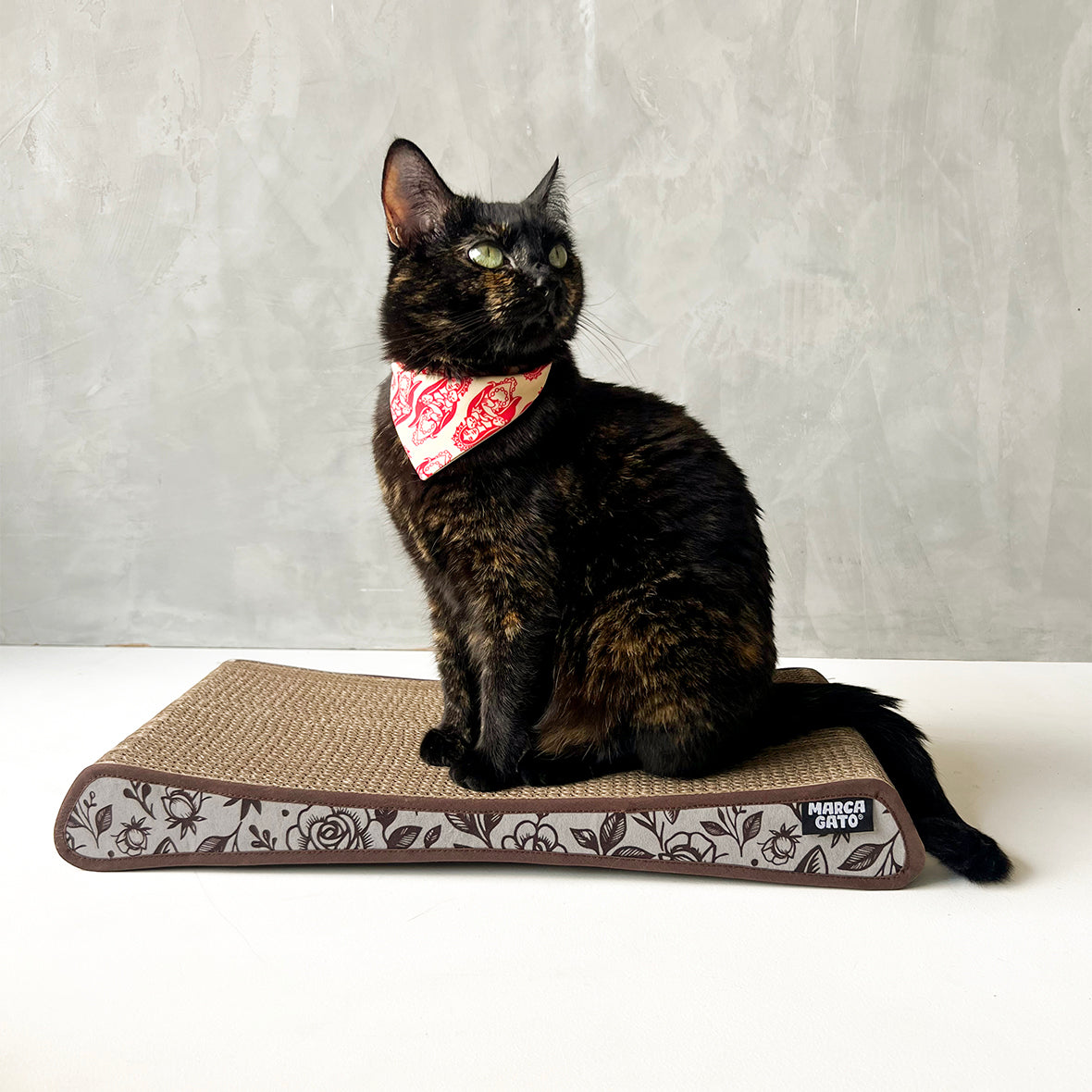 Rascador Quesito para Gatos Cartón Corrugado Alta Densidad 