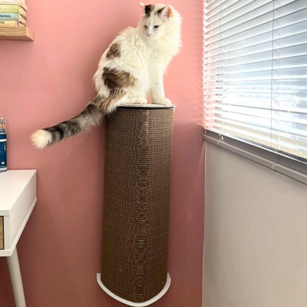 Rascador par agatos, de carton corrugado doble pared, anclado a la pared, verticalmente