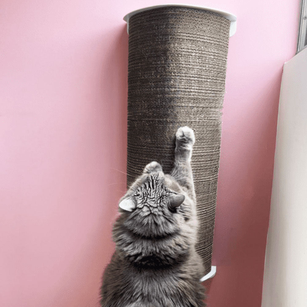 Rascador par agatos, de carton corrugado doble pared, anclado a la pared, verticalmente