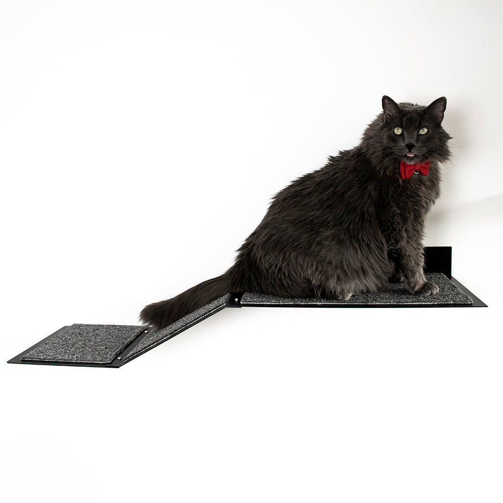 Rampaw XL