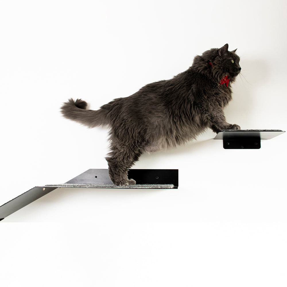 Rampaw XL