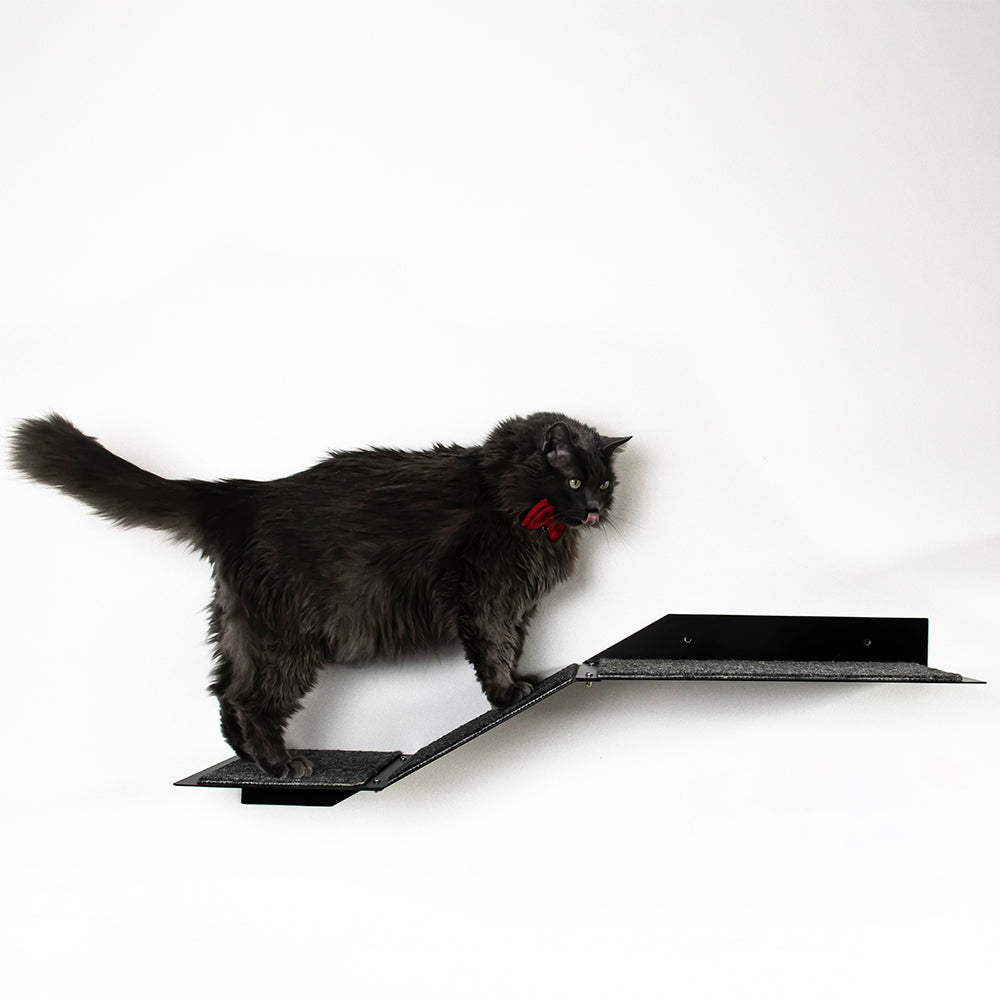 Rampaw XL
